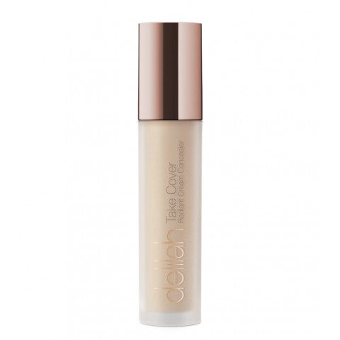 Delilah Take Cover Concealer
